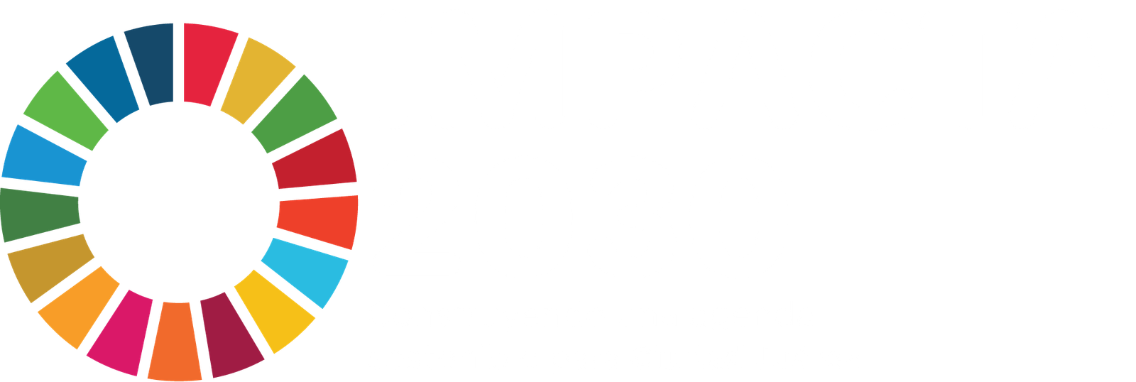 Juárez2030