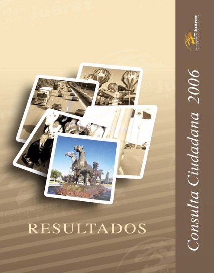 Consulta Ciudadana 2006