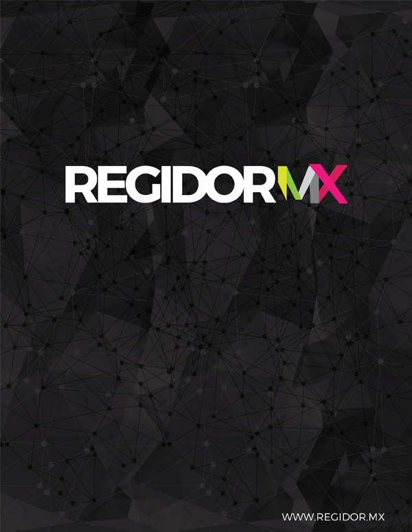 Informe 2015 RegidorMX