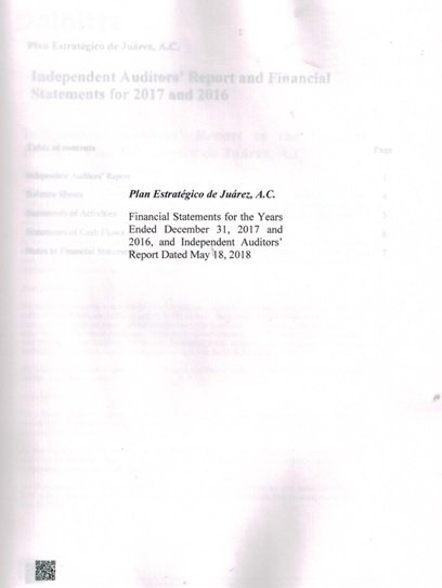 Statutory Financial Statements 2017-2016