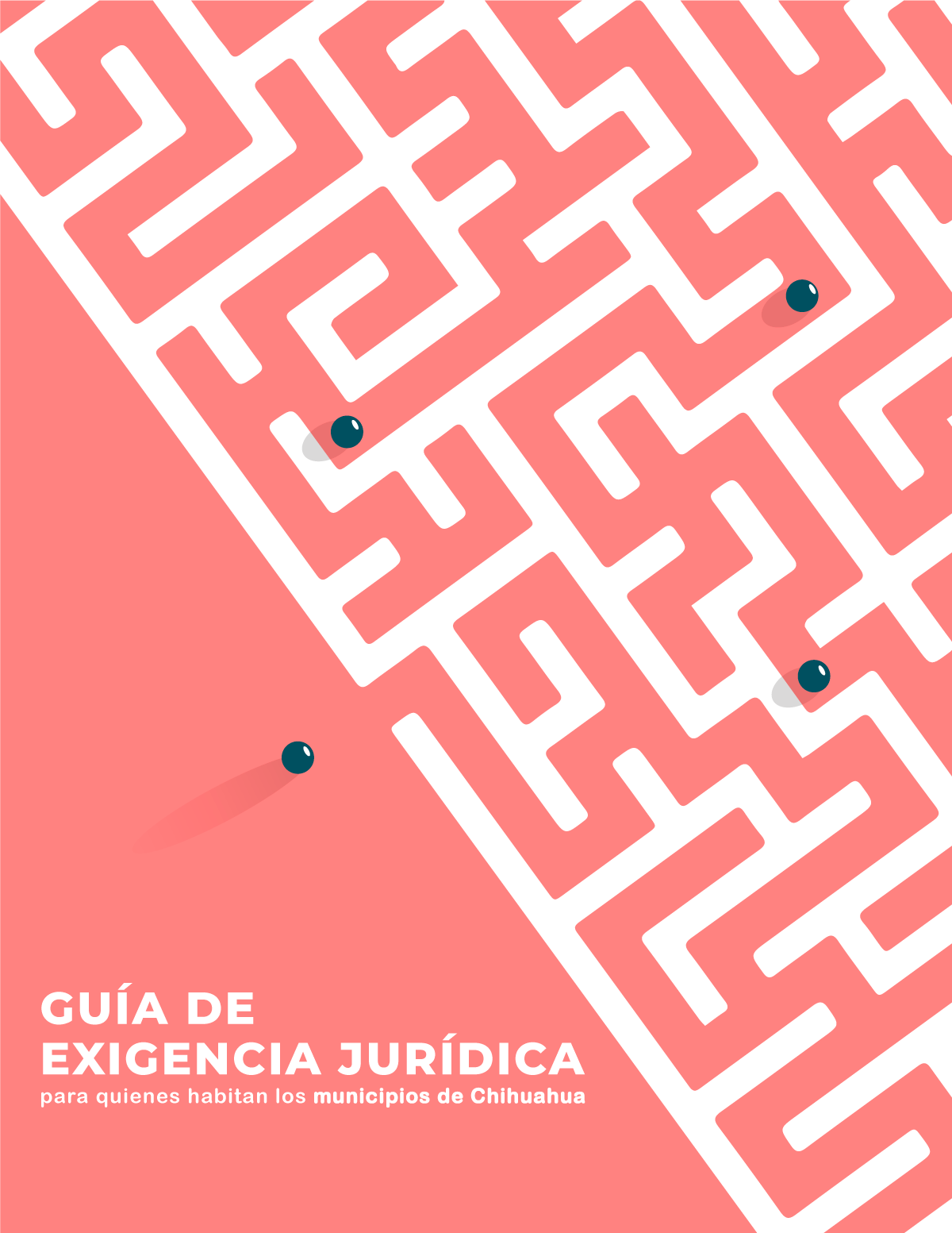 Guía de Exigencia Jurídica