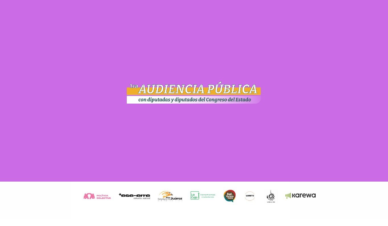Audiencia Pública con diputadas y diputados del Congreso del Estado